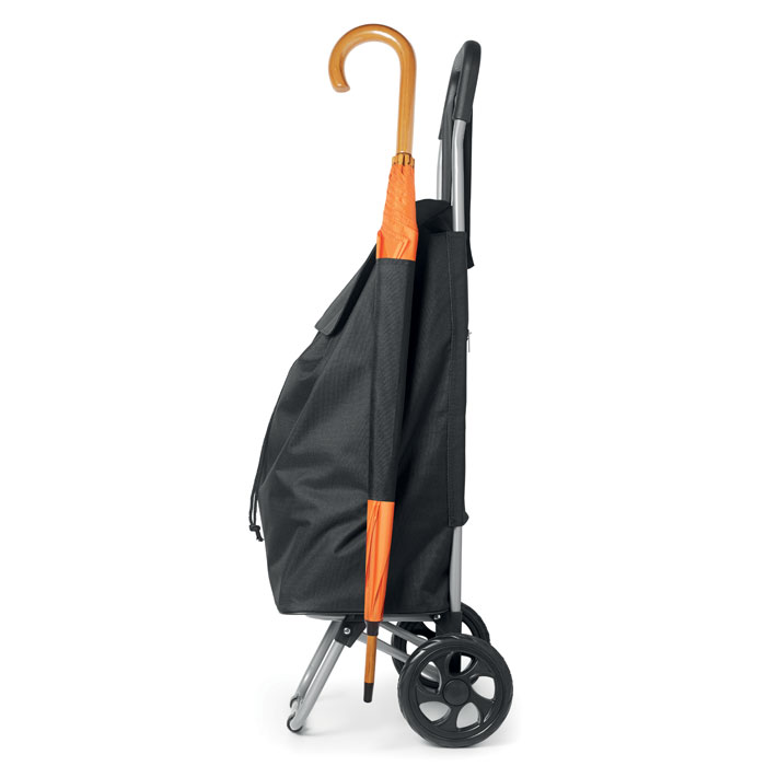 Shopping Trolley